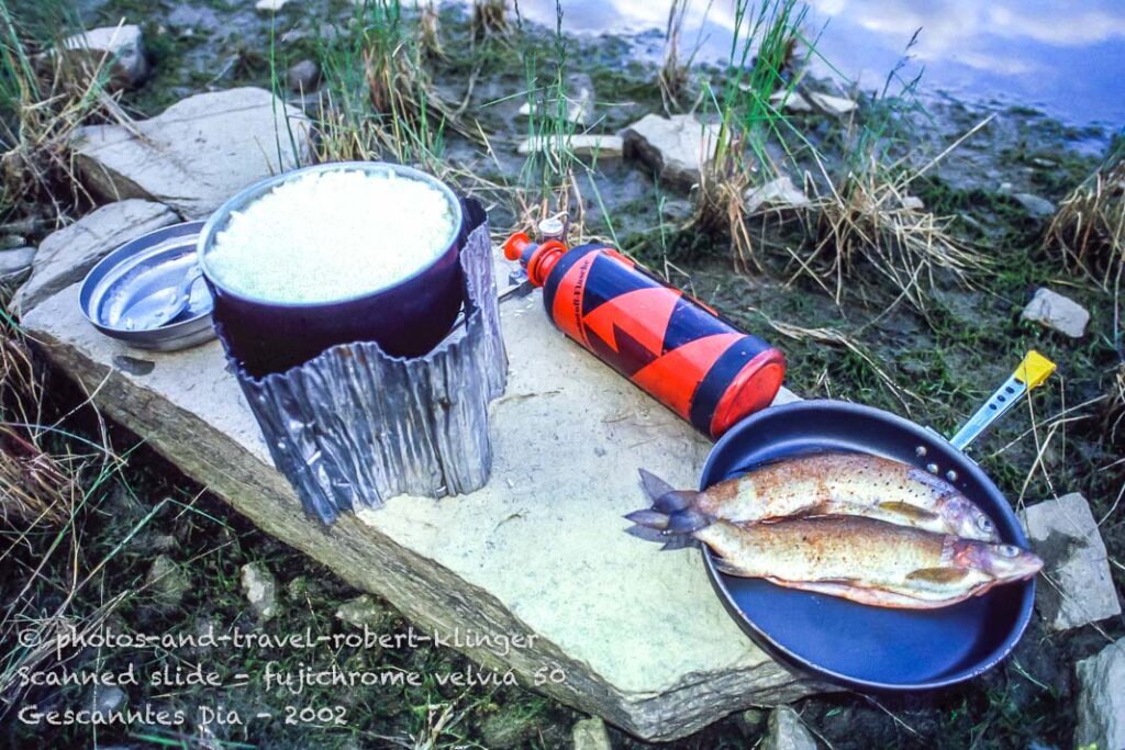 2 grayling and a pot of rice for dinner in the Yukon, Canada