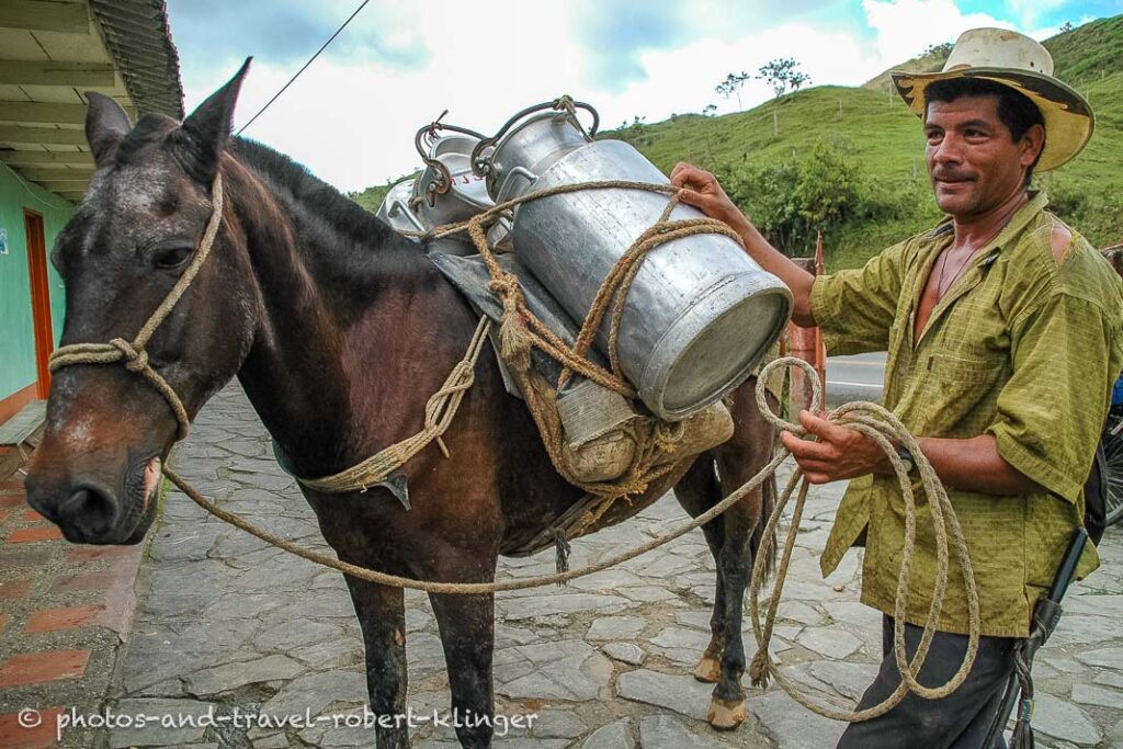 A milk farmer in Central America