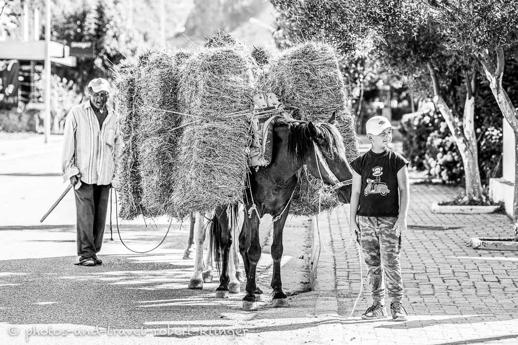 A boy and a horse, which is heavily loaded with straw, Albania, black and white photo