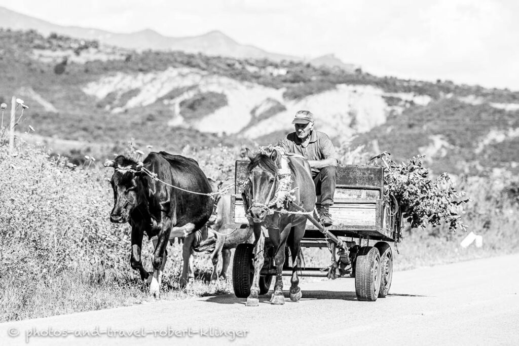 A carriage in Albania, black and white photo