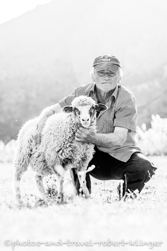 A man and a sheep on a field in Albania