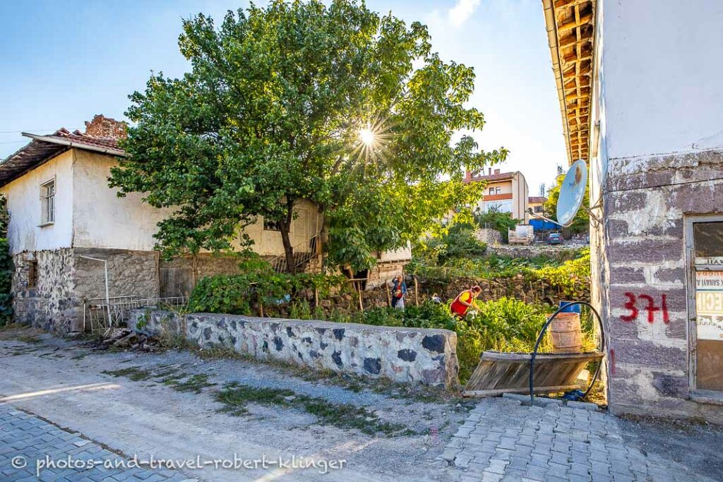 A garden between 2 houses in Korgun, Turkey