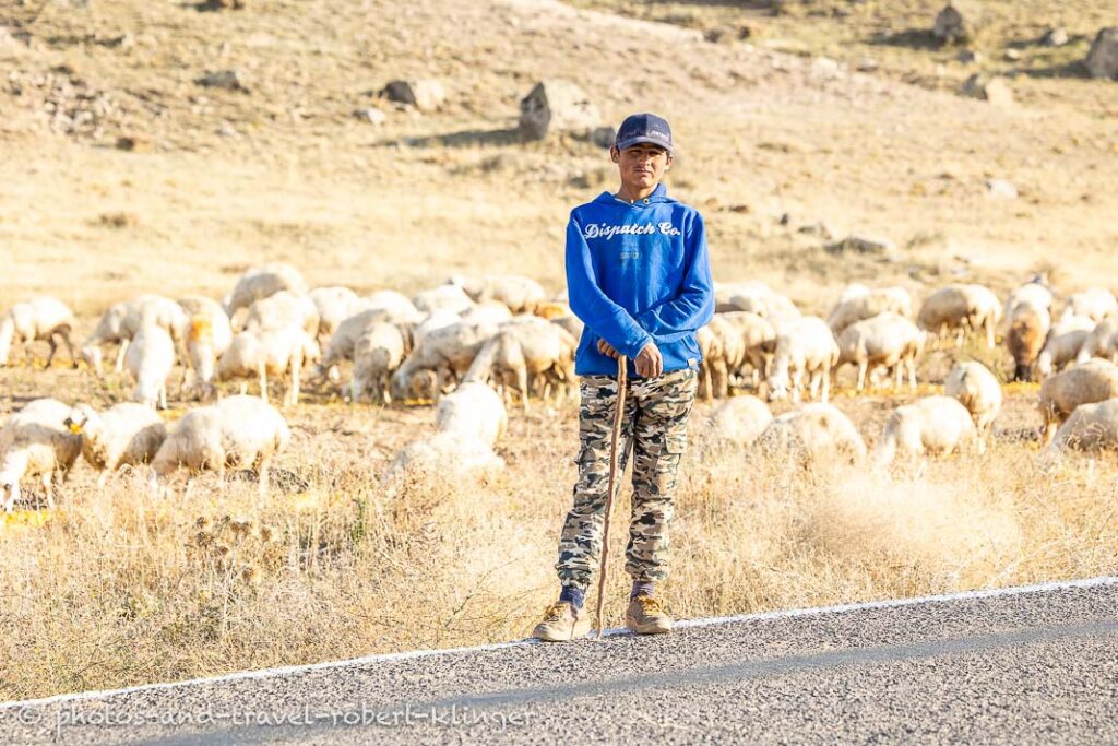 A sheppard and many sheep in the background