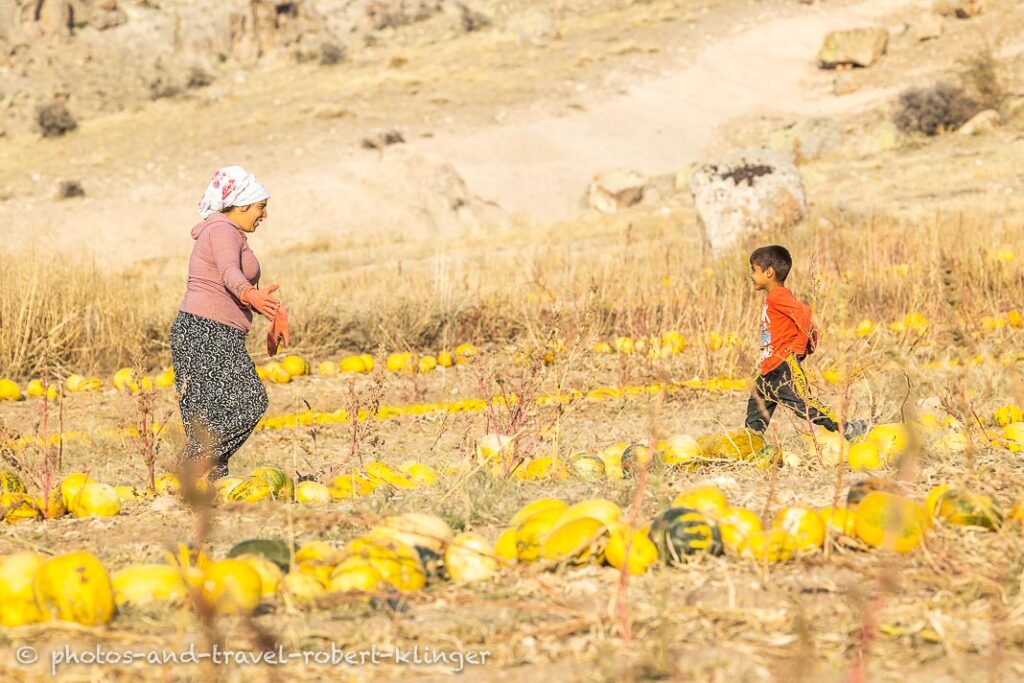 A turkish boy is running to his mother in central Anatolia in the middle of a pumpkin field