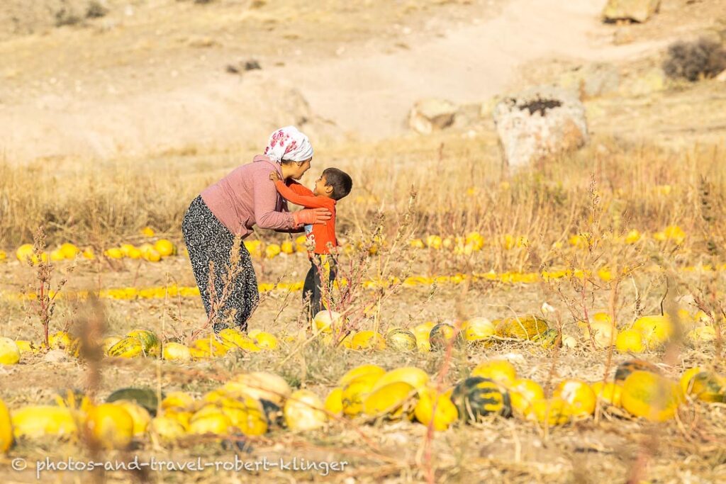 A turkish boy hold by his mother in central Anatolia in the middle of a pumpkin field