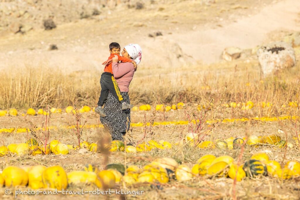 A turkish boy hold by his mother in central Anatolia in the middle of a pumpkin field