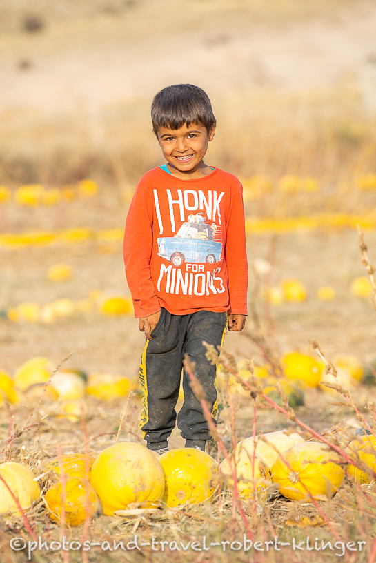 A turkish boy in central Anatolia on a pumpkin field