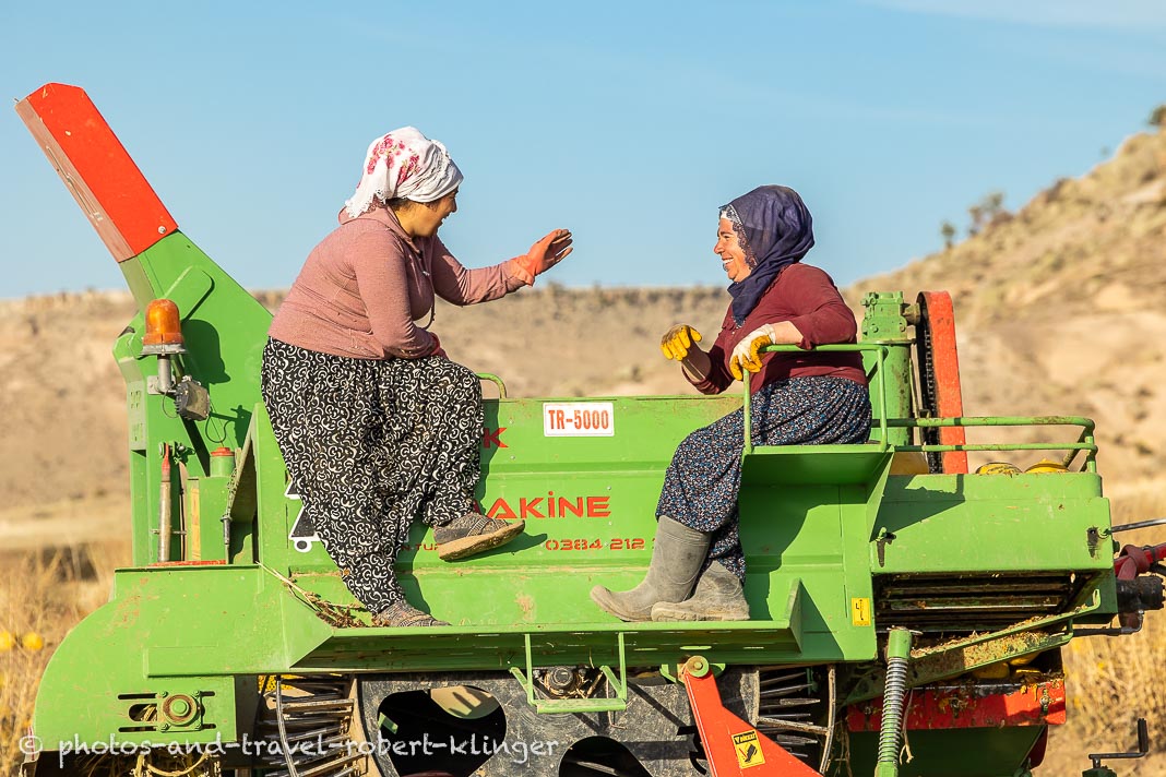 Two turkish women having a conversation on a tractor while harvesting pumpkin seeds