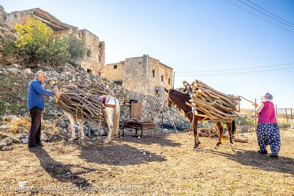 A man and his wife unloading the horses and releasing the firewood