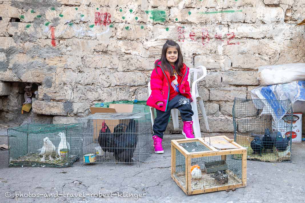 A girl sitting between animals in cages for sale in Akre