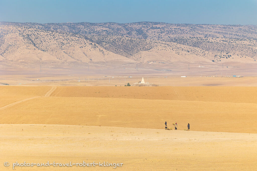 Three women carrying wood through the dessert in Iraq