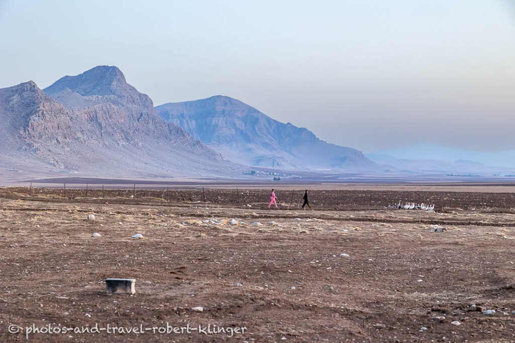 A boy and a girl with a flock of geese in Kurdistane