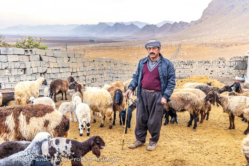 A kurdish farmer is standing in the middle of his sheep