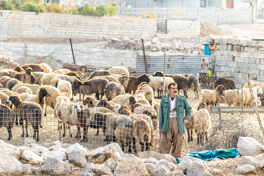 A goat farmer in a village in Kurdistane, Lake Dukan