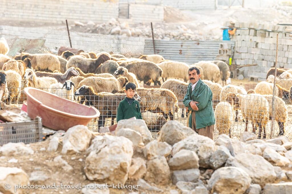 A goat farmer and his son in a village in Kurdistan, Lake Dukan