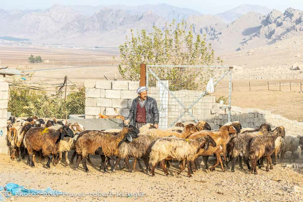 A goat farmer in a village in Kurdistane, Lake Dukan