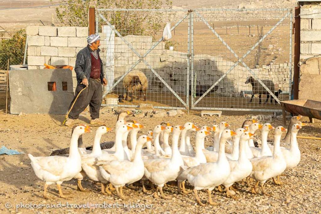 A farmer in a village in Kurdistane, Lake Dukan