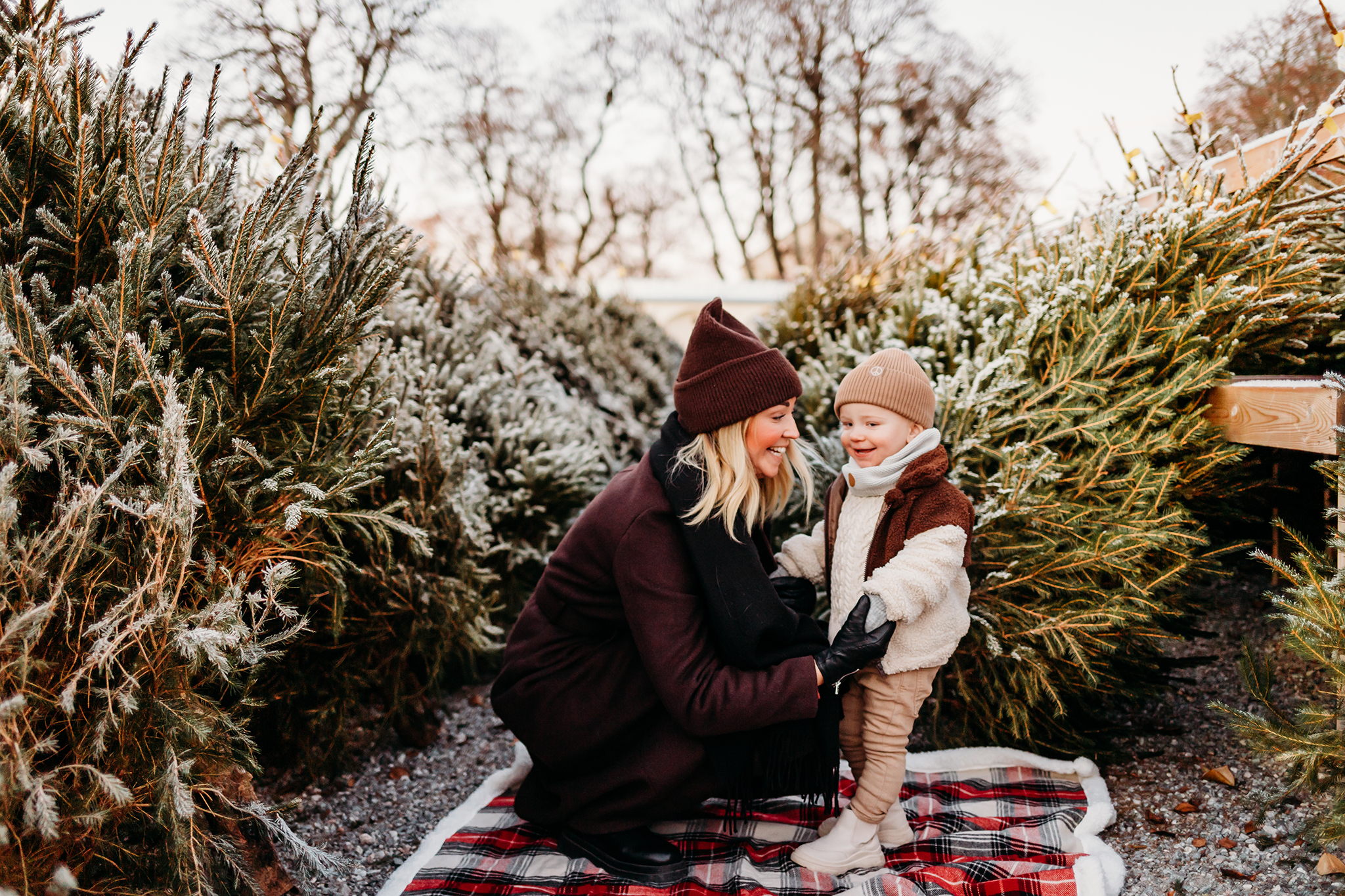 julfotografering i västerås på gäddeholms trädgård med familjefotograf