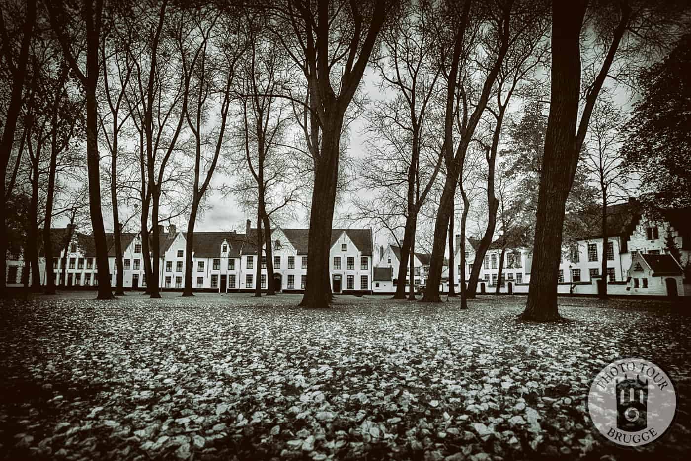 The beautiful Behijnhof (nunnery) of Bruges Belgium in fall, lovely rows of white houses with trees offering a new view with every season. Photo by Photo Tour Brugge.