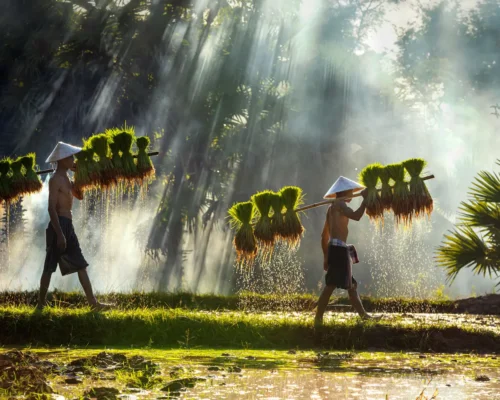 Travel to Laos