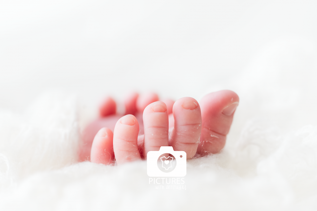 Beste newbornfotograaf België