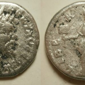 Septimius Severus Zilver Denarius -LIBER AVG- 194/5 AD