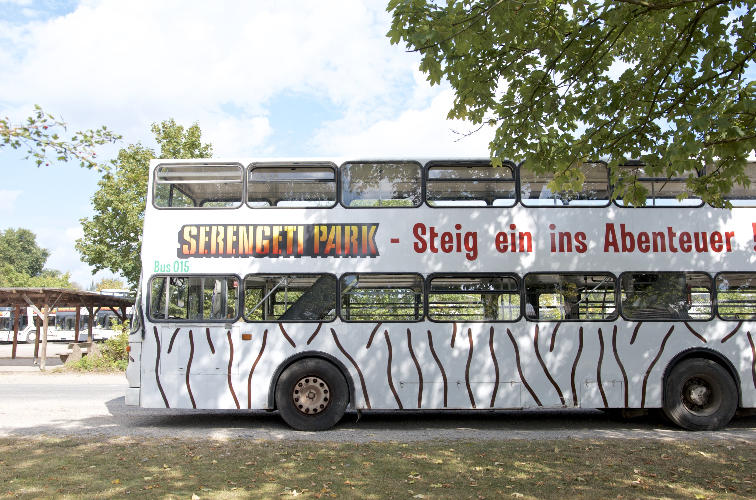 Bus Tour im Serengeti Park Hodenhagen