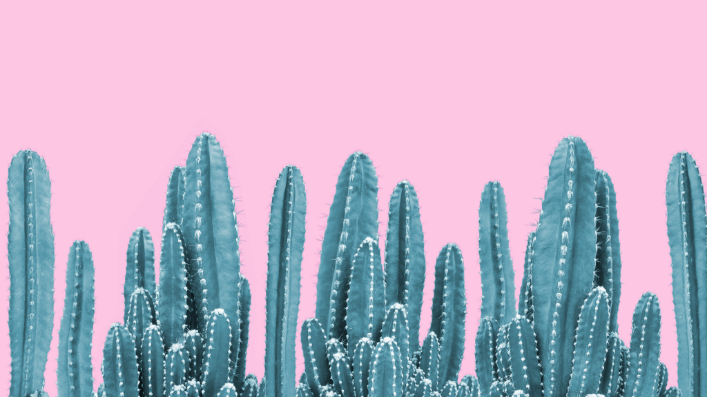 Mentala-hinder-kaktus