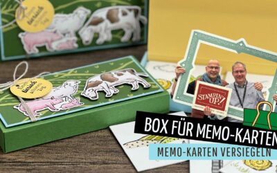 Schiebebox für Memo-Karten – Stempelbrüder-Spezial