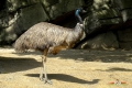 zoo-07072014_0197