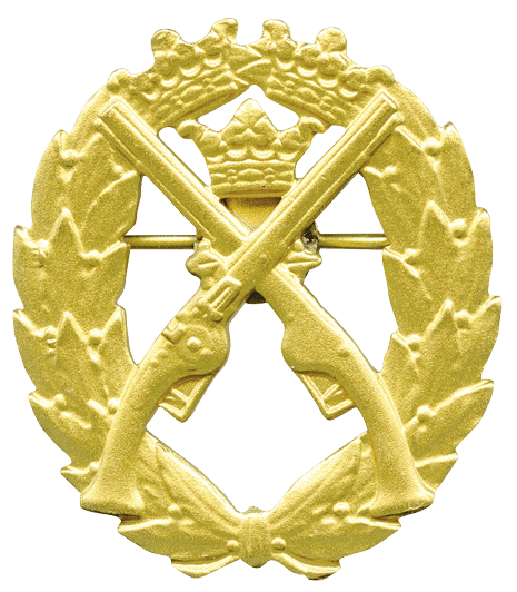 PISTOLSKYTTEM RKEN pistolskyttem-rken