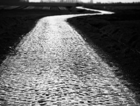 Parijs – Roubaix volg je op Unibet.be