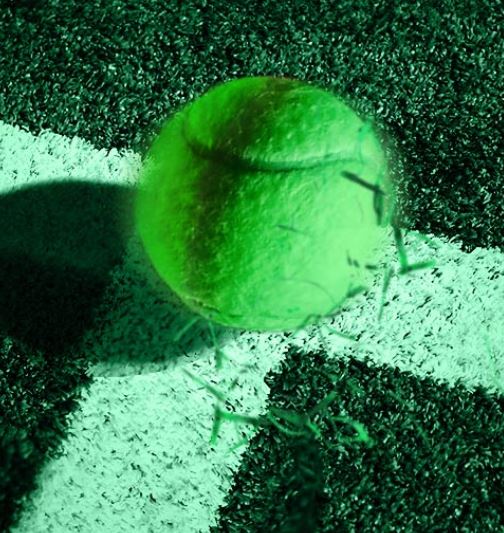 Unibet sportwedden België – Wimbledon Odd 10 is terug!