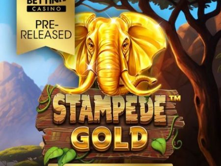Stampede Gold: Get ready for a wild adventure