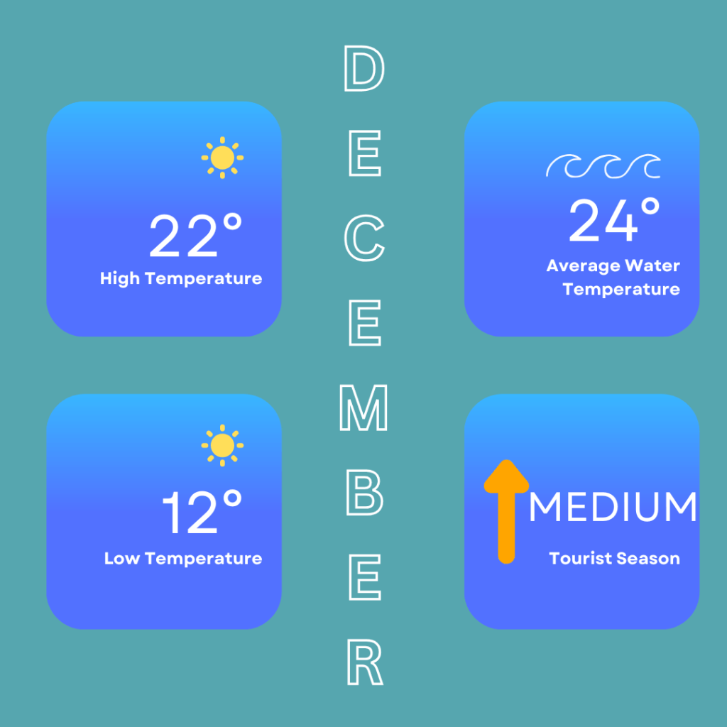 Infographic showing the weather in Hurghada in December. High temperatures can reach around 22 Degrees Celsius / 72 Degrees Fahrenheit and low temperatures of 12 Degrees Celsius / 54 Degrees Fahrenheit. Sea temperatures of around 24 Degrees Celsius / 75 Degrees Fahrenheit. It is also a medium busy tourist season.