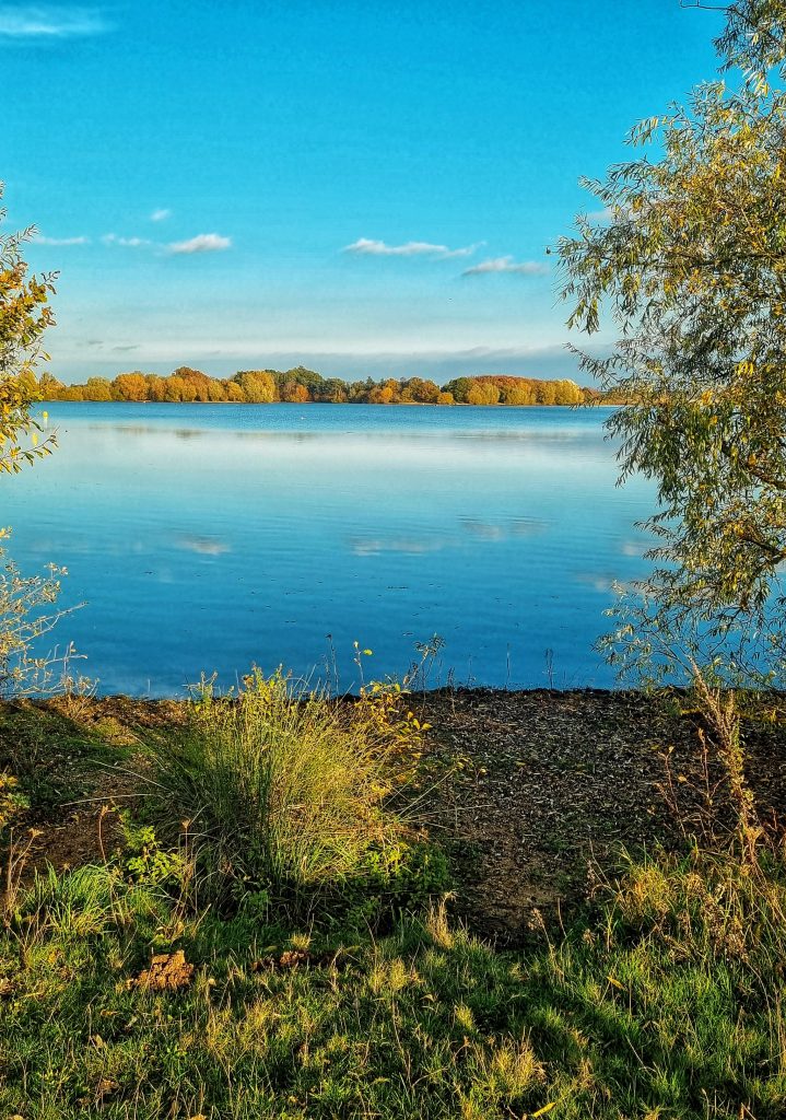 This is one of our favourite places to visit in Ipswich. Alton Water offers so many beautiful views and is great to get back into nature.