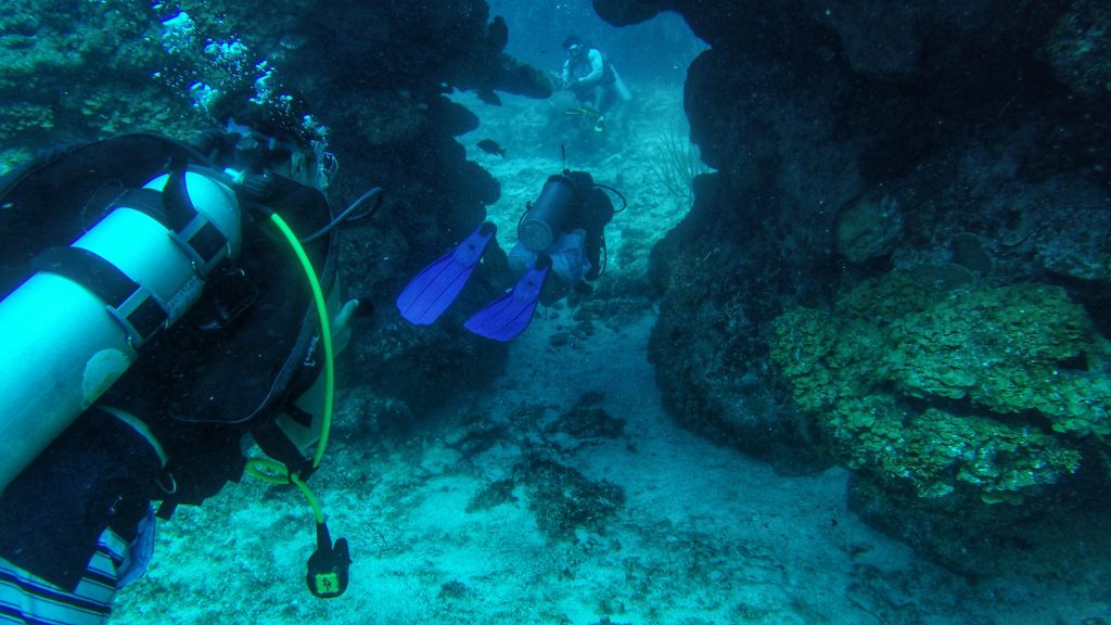 exploring the big blue sea 