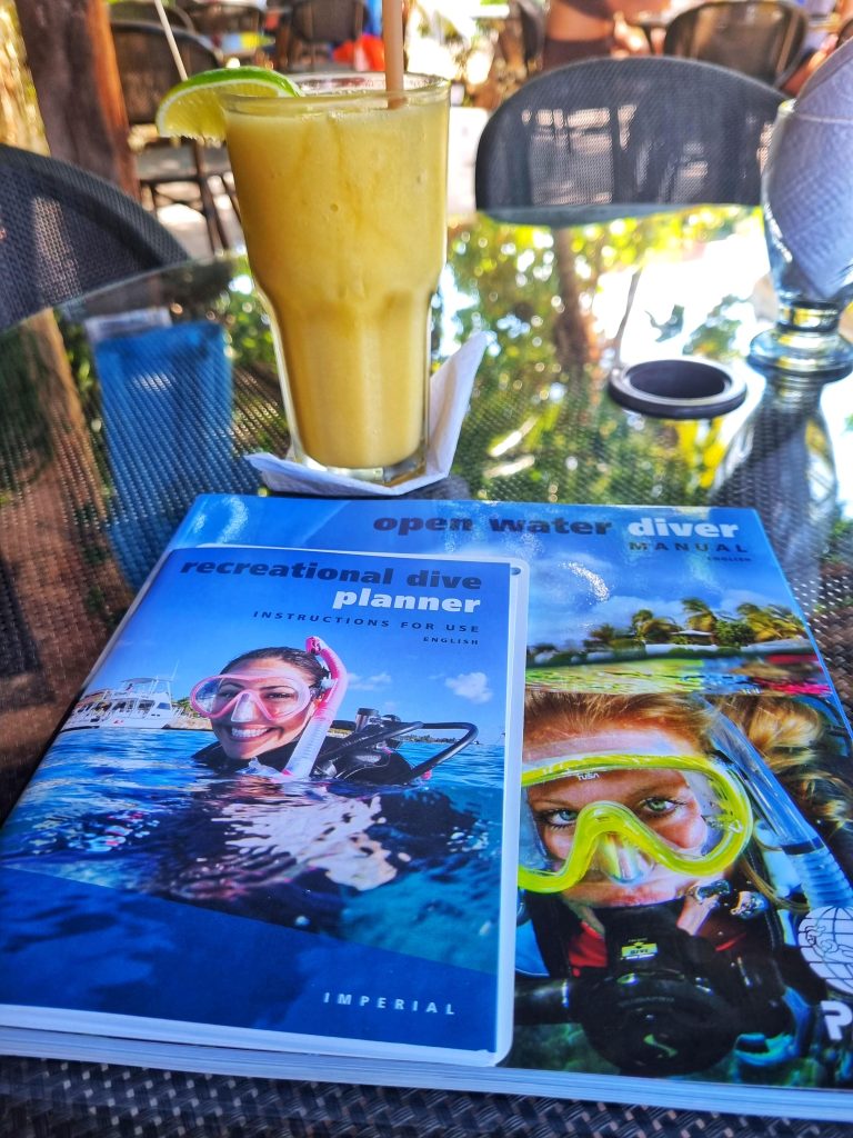 2 days in Isla Mujeres won't give you enough time to learn to dive but we can guarantee you won't want to leave. This photo was taken at North Garden of Amy's Open Water Diving books.