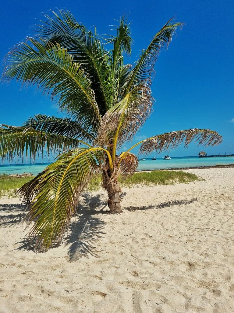 Playa Norte is one of the best beaches to visit on the island. It is pure paradise.