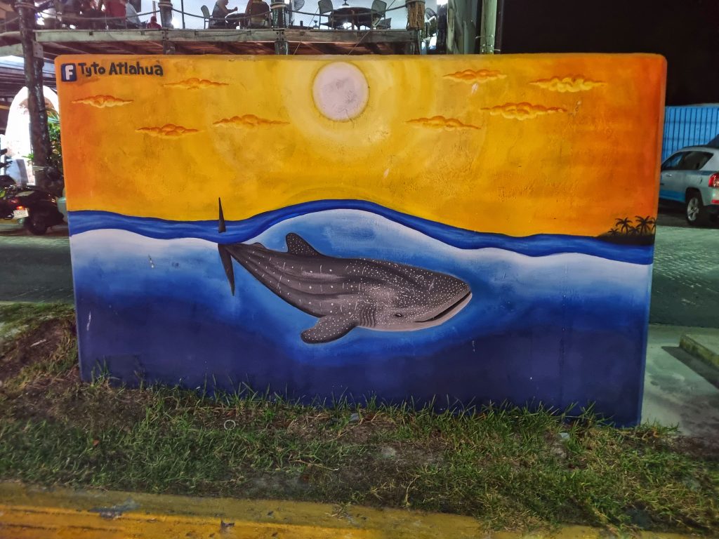 2 days in Isla Mujeres really isn't enough but make sure you're on the lookout for Tyto Attlahua's mural for Whale Sharks on the island.