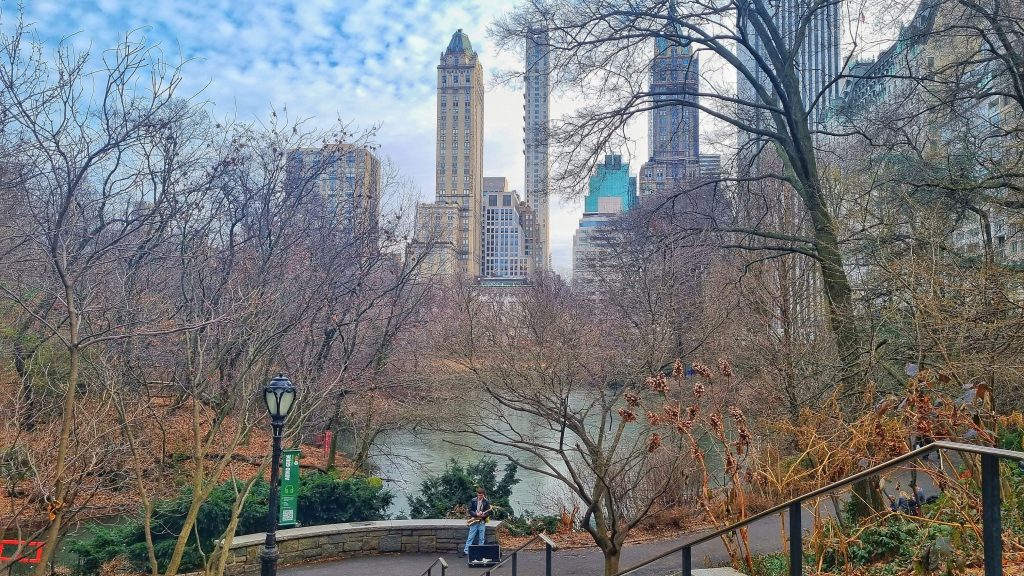 We took this photo of Central Park which shows some of the buildings in the city and a saxophonist by the pond.