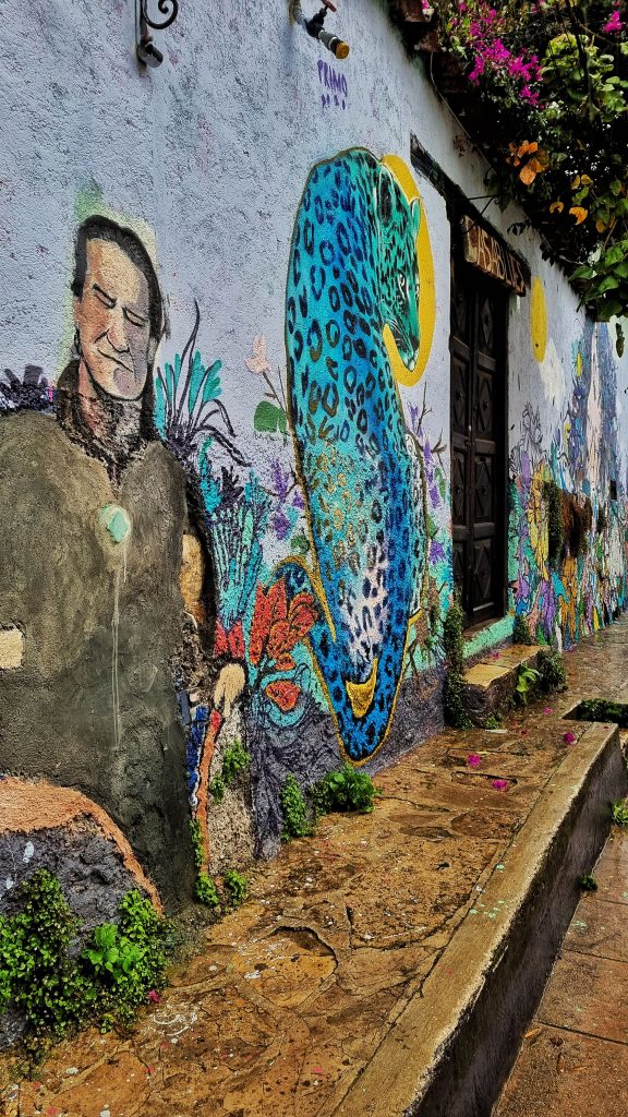 There is so much beautiful street art in the streets of Mexico that when you're travelling alone you can take yourself on a tour of the work.