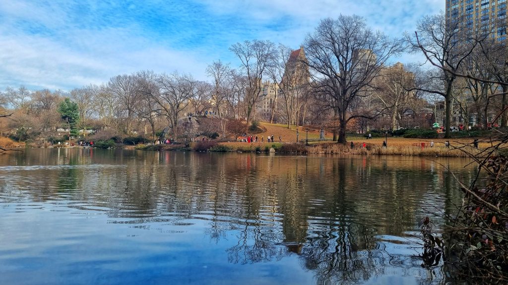 Central Park is such a beautiful place to visit and you can easily spend all day exploring the park. If you're on a budget for your New York trip make sure you spend a day here with plenty to see.