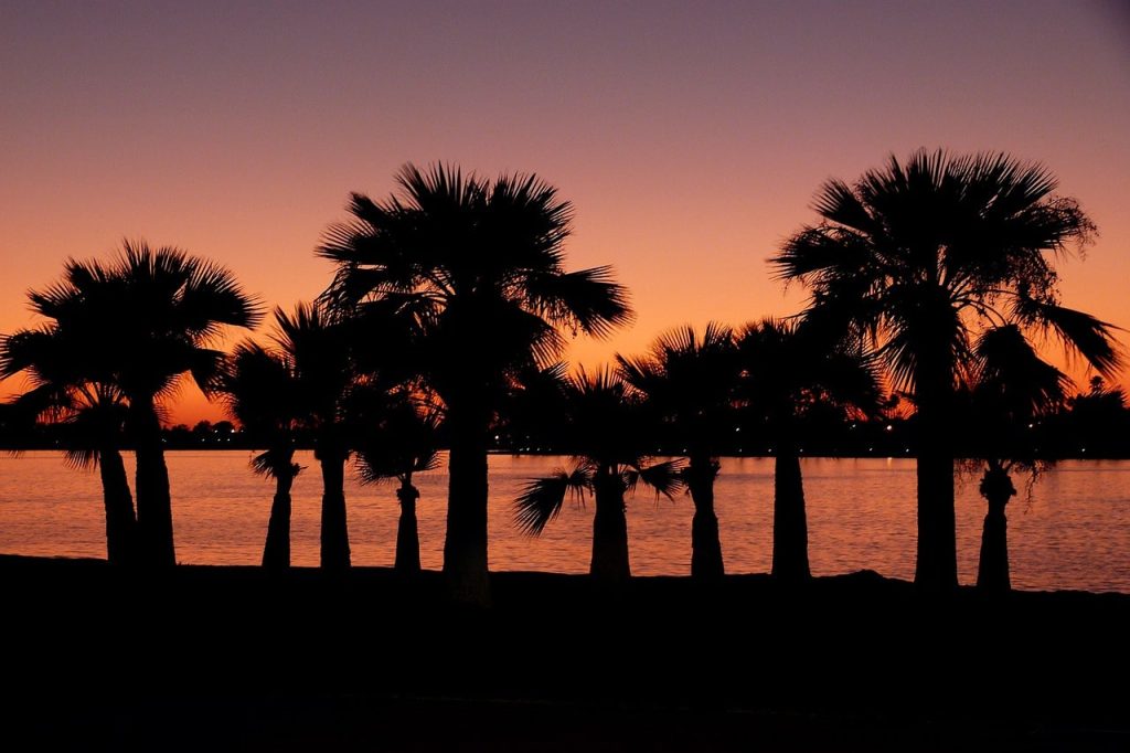 One of the best things to do in San Diego when you visit is spend some time at the beach. 