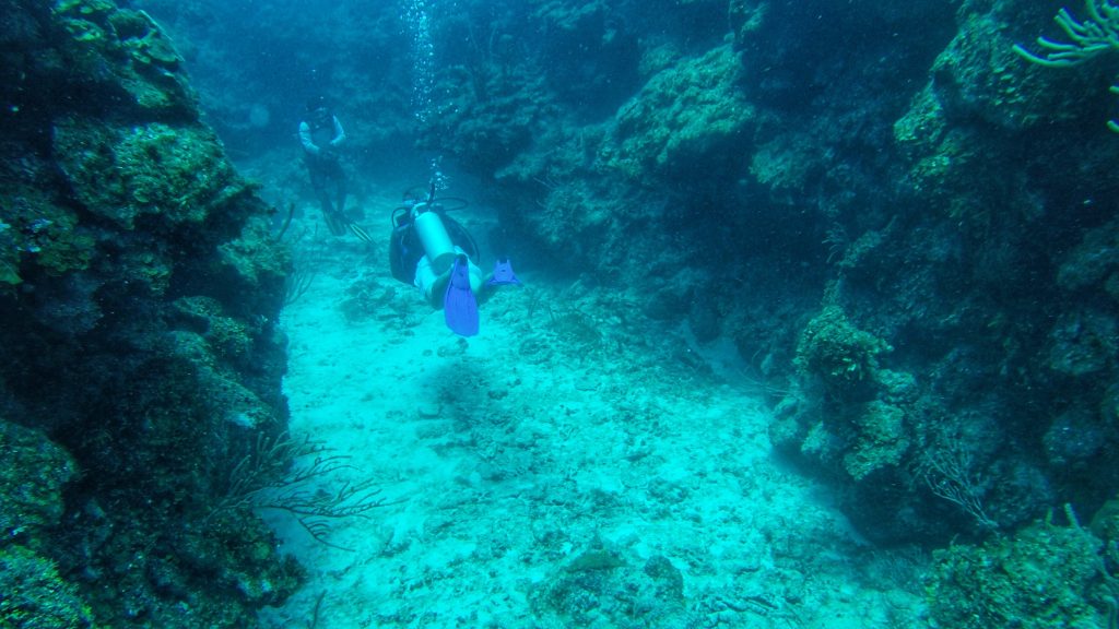 You will get to dive through plenty of caverns and enjoy the beautiful coral and rock faces along the way.