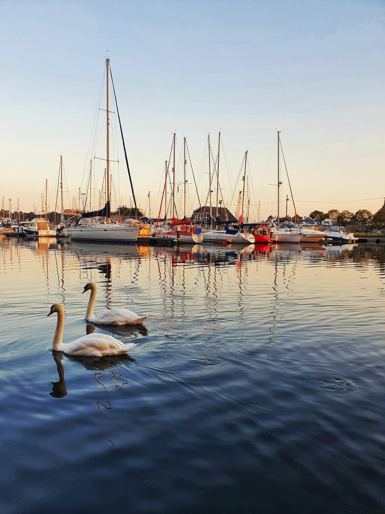 The Waterfront Bistro hosts some incredible views of the water and if you're lucky you may even see some swans.