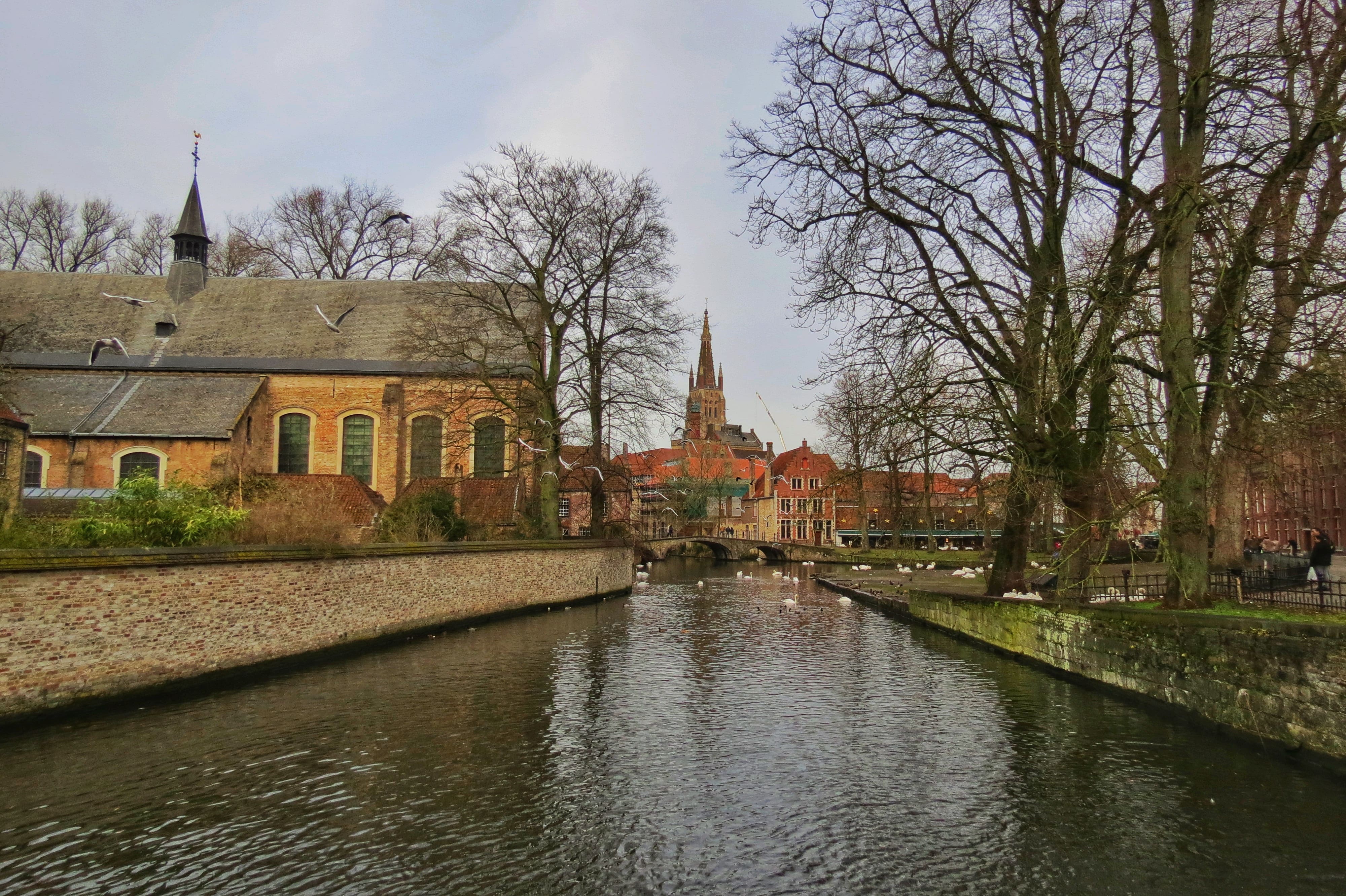 The lake in Bruges