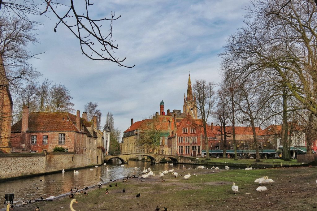 When we visited Bruges, there were a lot of swans around which was really beautiful to see.
