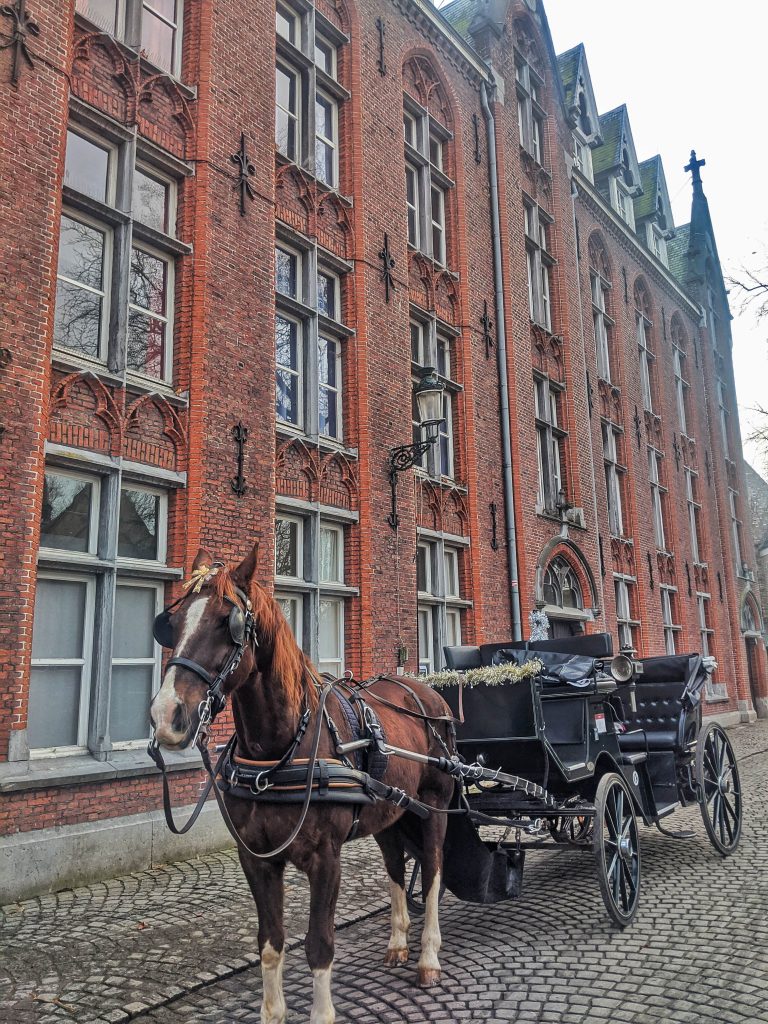 Horse and Carriage in Bruges, Belgium