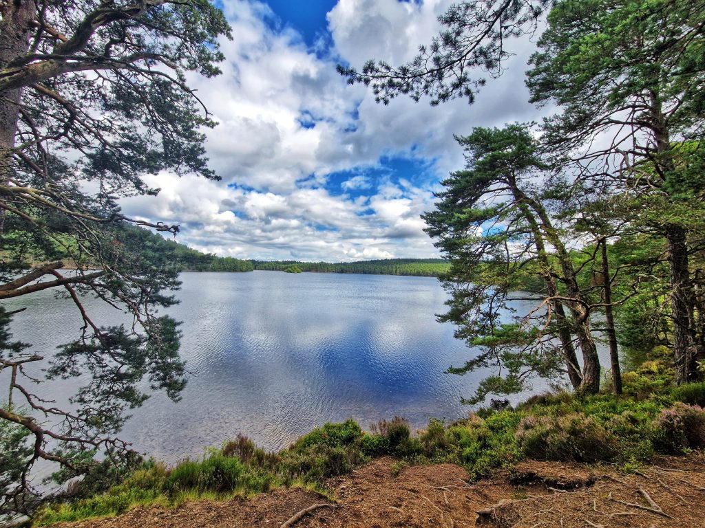 View of Loch Eilean with some sandy beach and wide views of the loch.